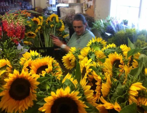 Penny’s By Plaza Flowers Offers Same Day Flower Delivery to Copper Beach Elementary School