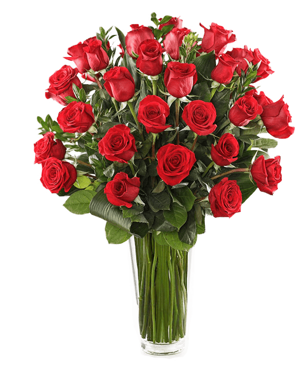 Roses, Philadelphia PA Florist