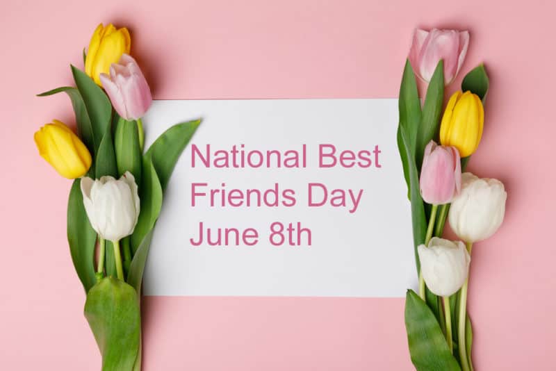 National Best Friends Day Flowers Archives - Penny's By Plaza Flowers Blog