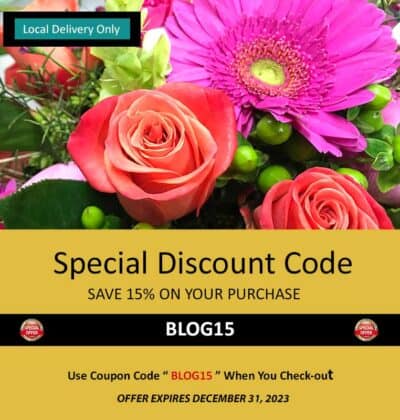 Discount Offer, Save 15% 