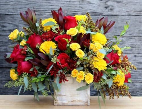 Blooming Bonds Honoring Grandparents Day with Thoughtful Floral Gifts