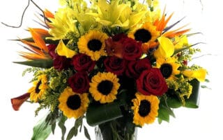 Penny's By Plaza Flowers Offers Lovely September Birthday Flowers and Plants LOCAL SAME DAY & EXPRESS DELIVERY