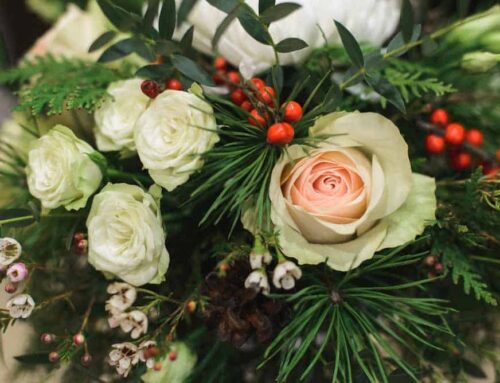 Penny’s By Plaza Flowers Offers Delivery of Holiday Flowers to Baldi Funeral Home