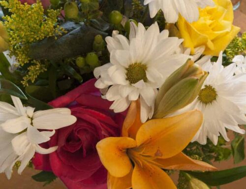 Ambler Pennsylvania Flower Delivery for Thanksgiving and Every Occasion: Provided by Penny’s By Plaza Flowers