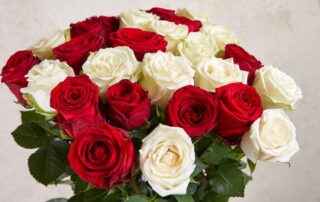 beautiful bouquet of red roses